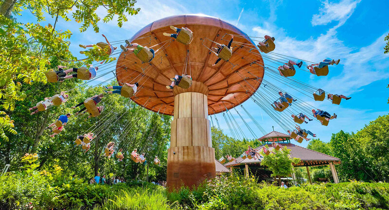 Vollbesetzter Wirbelpilz